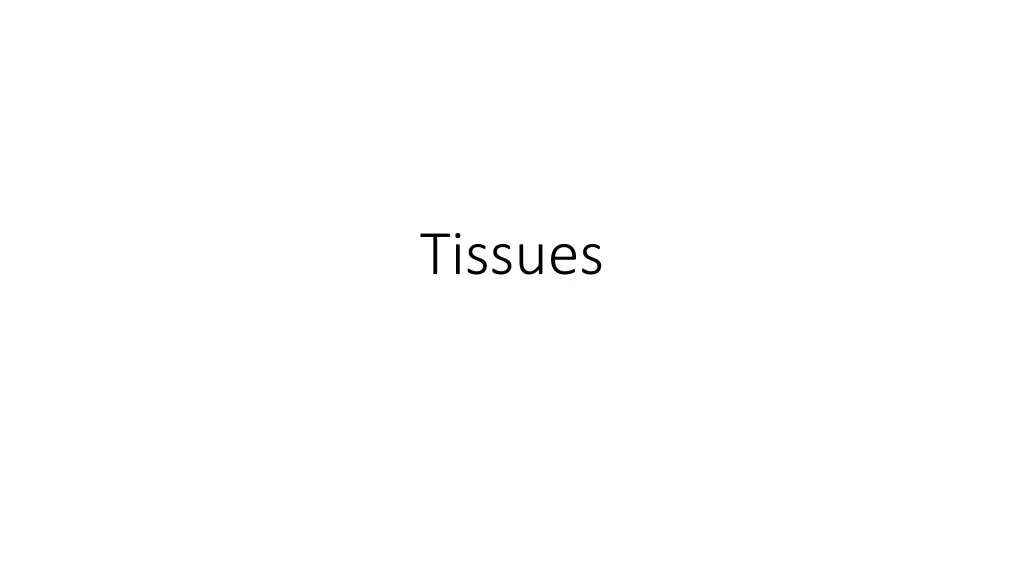 tissues