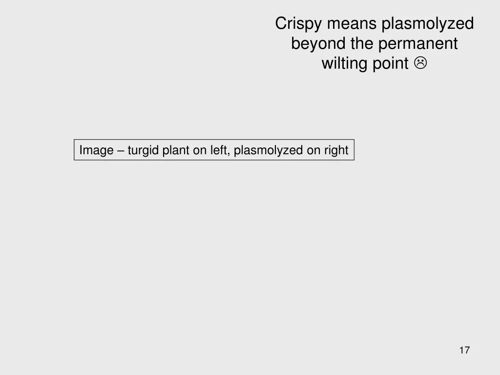 crispy means plasmolyzed beyond the permanent