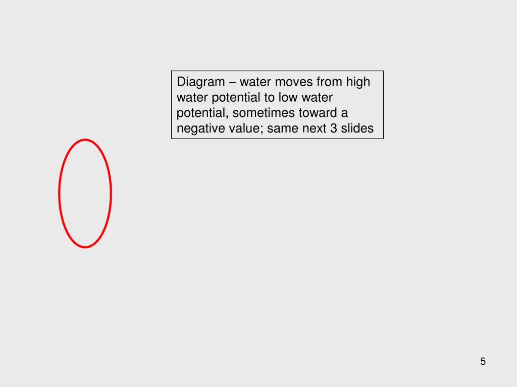 diagram water moves from high water potential