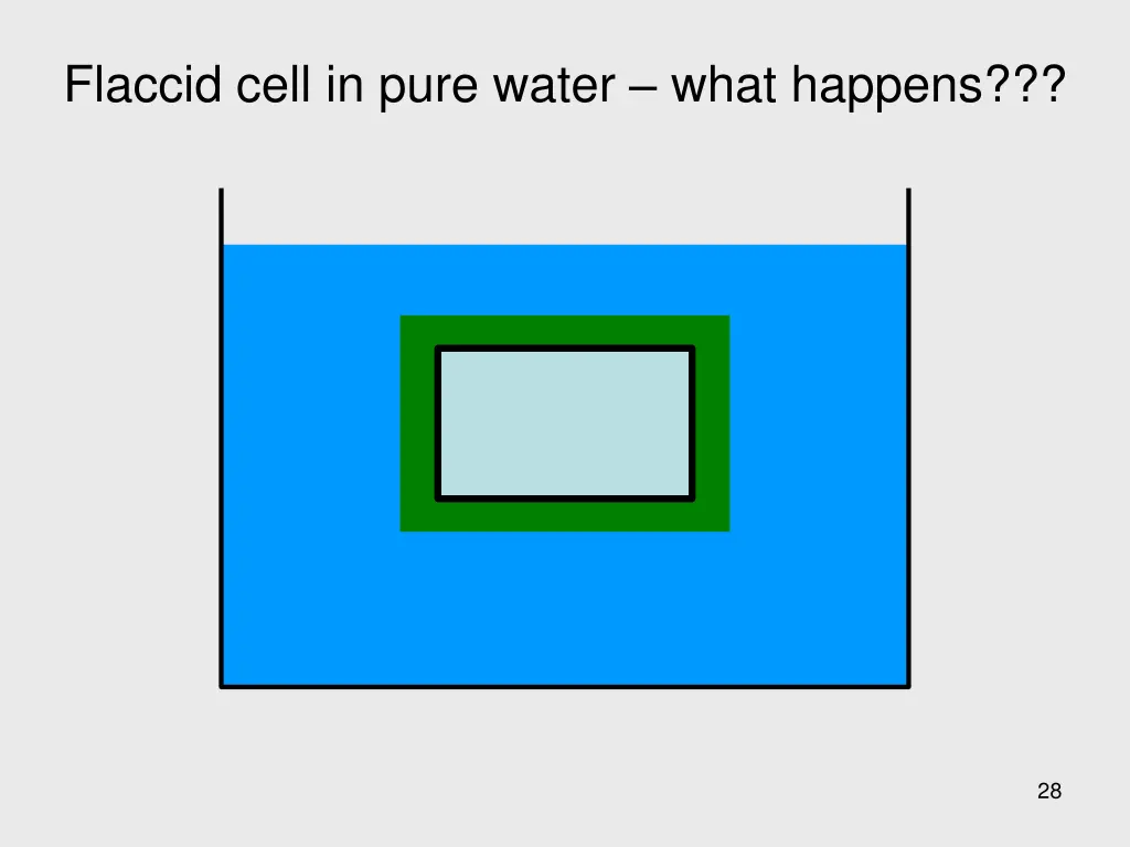 flaccid cell in pure water what happens 5