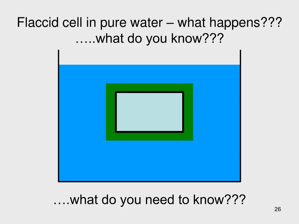 flaccid cell in pure water what happens what 1