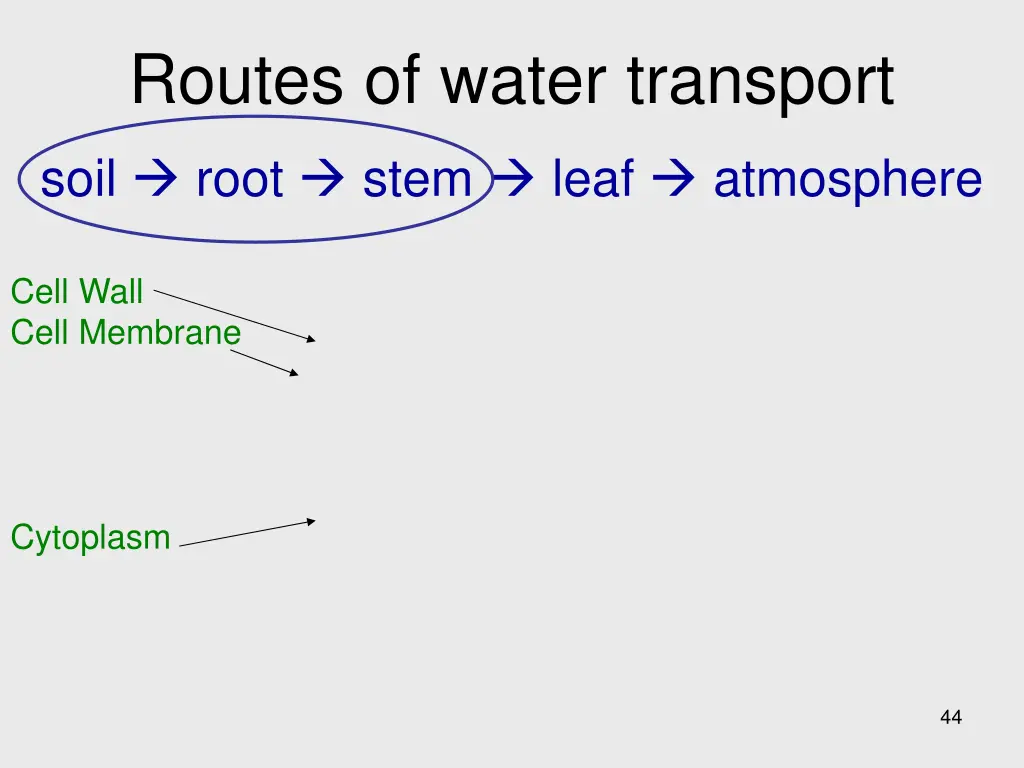 routes of water transport 1