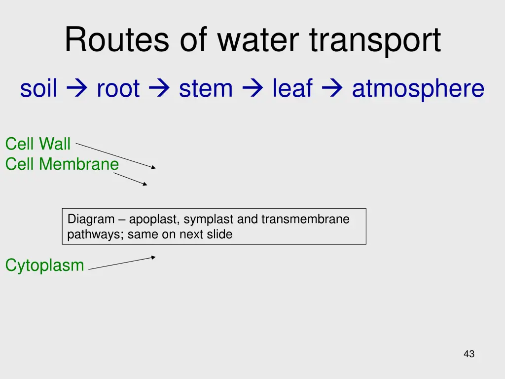 routes of water transport