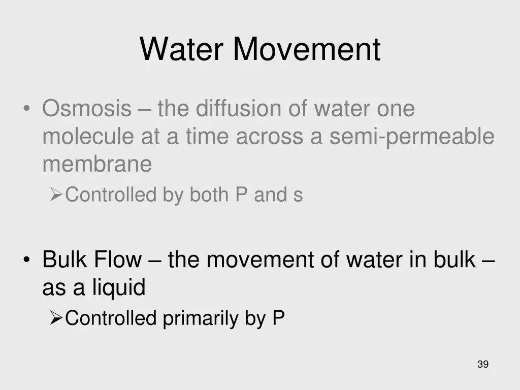 water movement 1