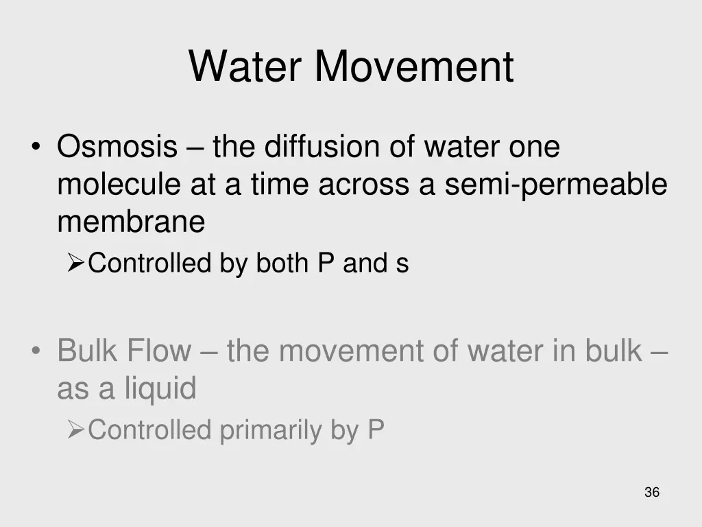 water movement