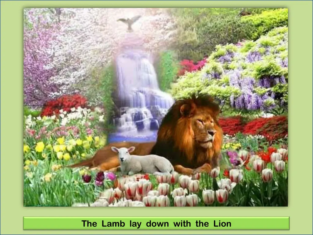 the lamb lay down with the lion