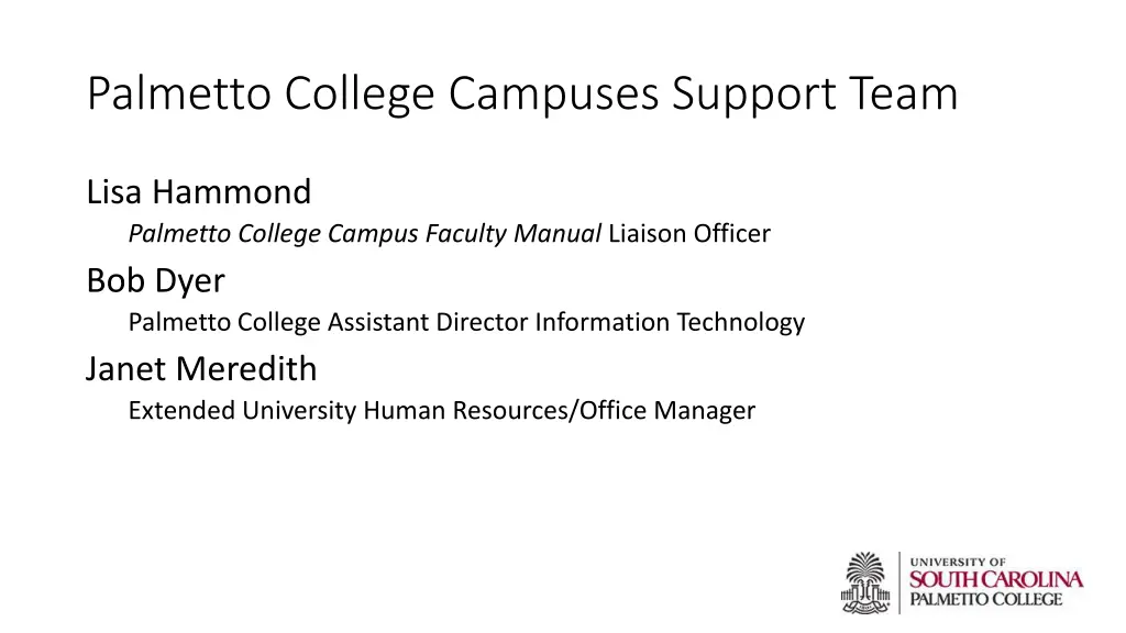 palmetto college campuses support team