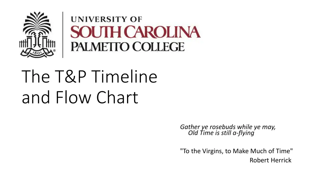 the t p timeline and flow chart