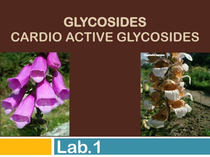 glycosides glycosides