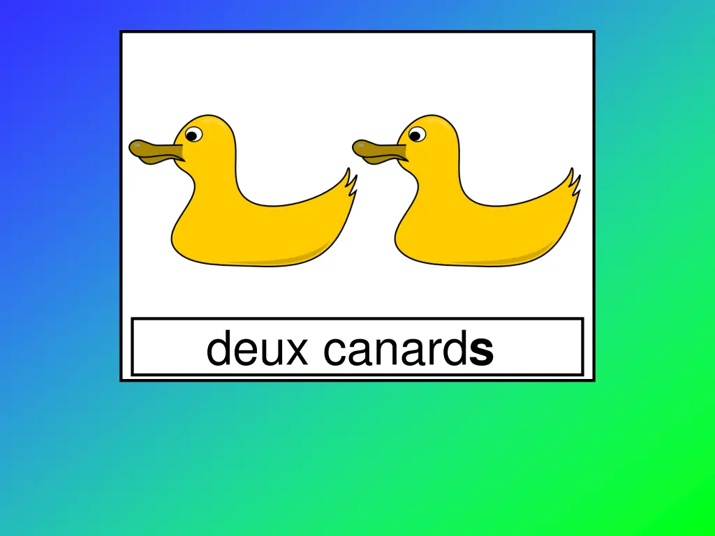 deux canard s