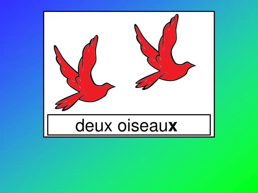 deux oiseau x