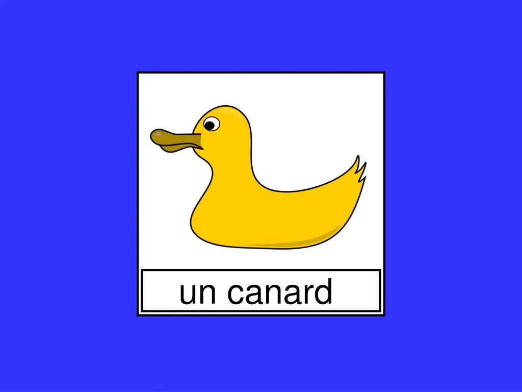 un canard