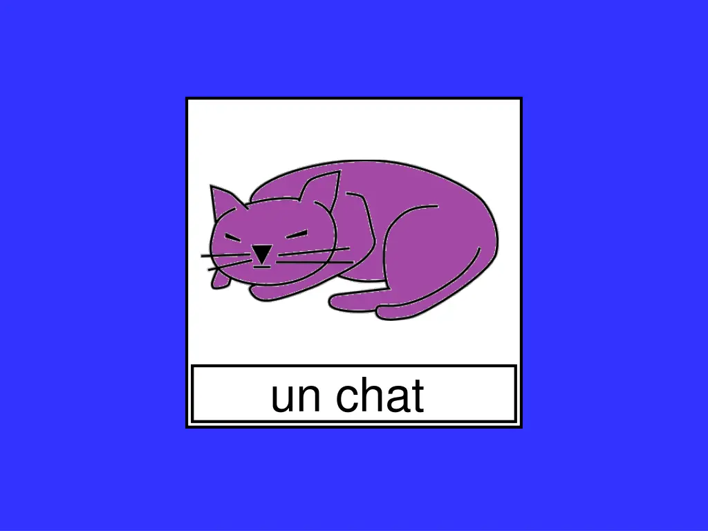 un chat