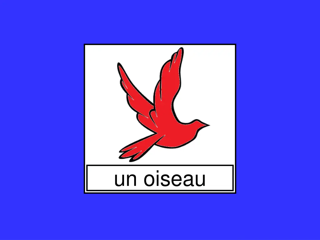 un oiseau