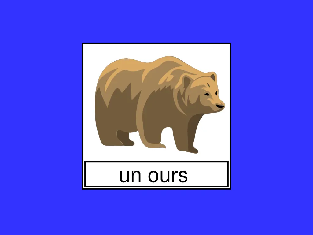 un ours