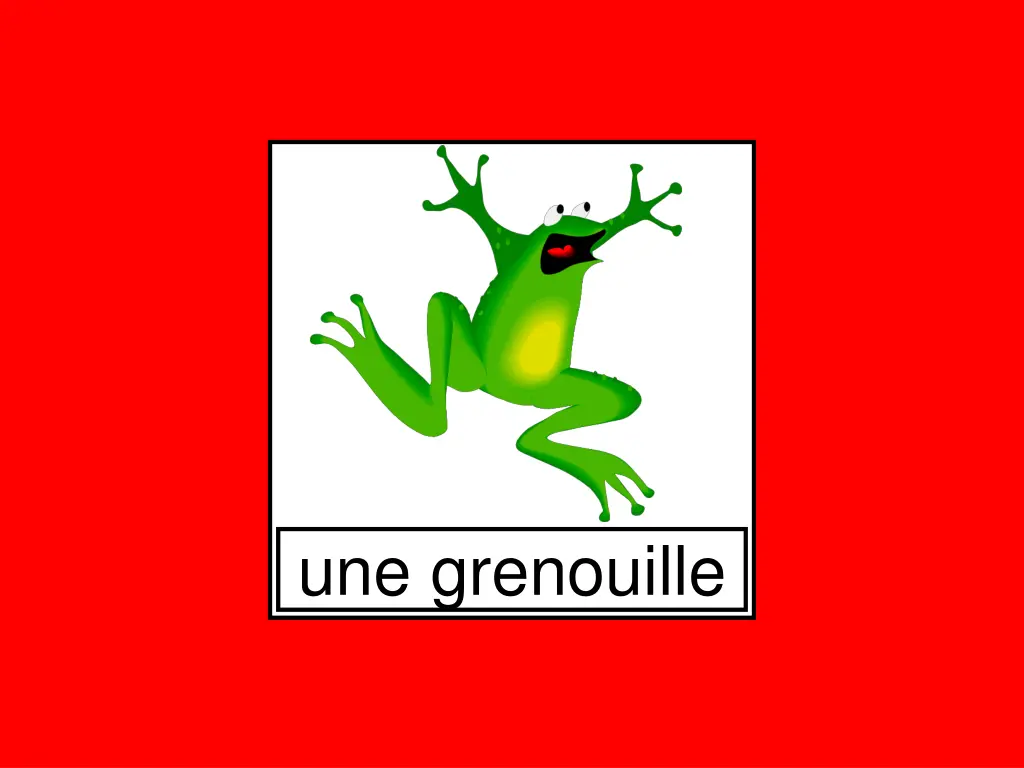 une grenouille