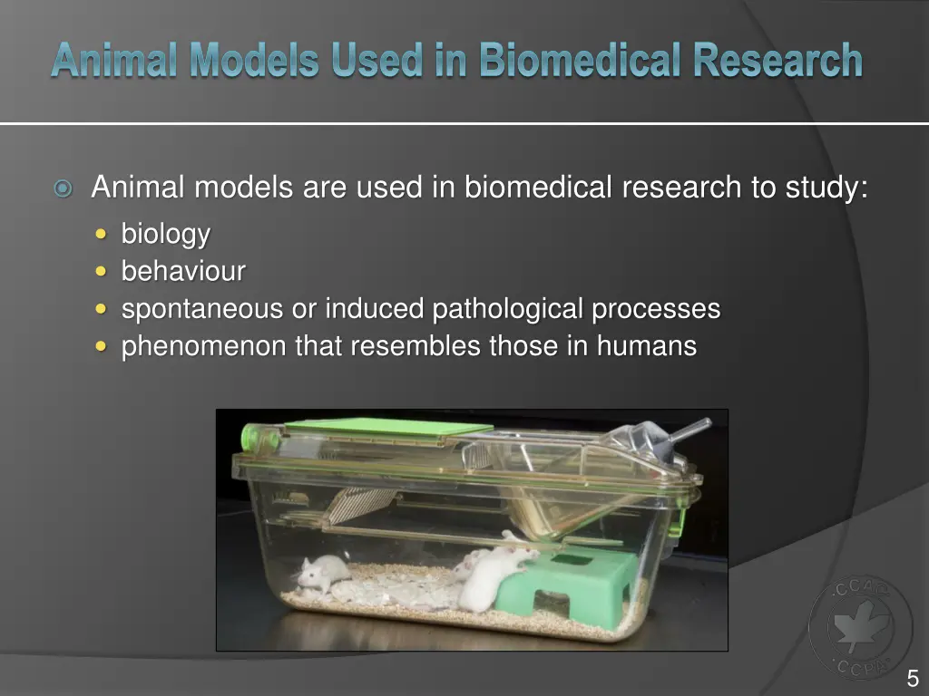 animal models used in biomedical research