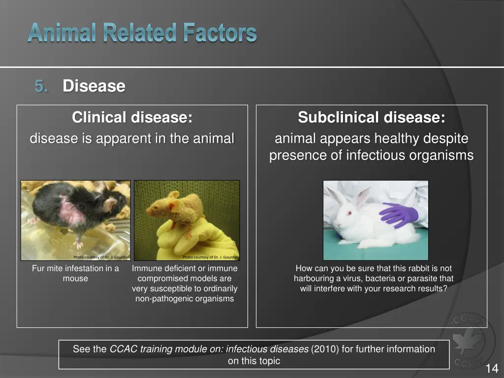 animal related factors 3