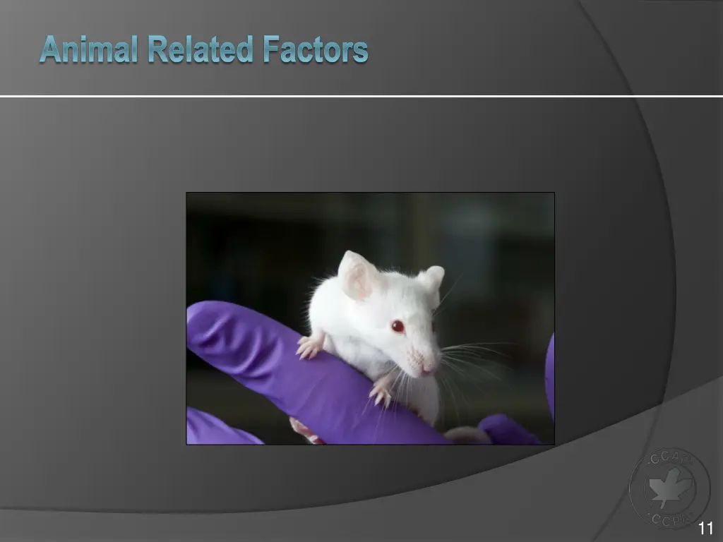 animal related factors