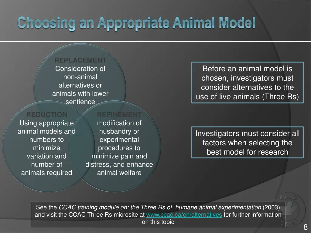 choosing an appropriate animal model