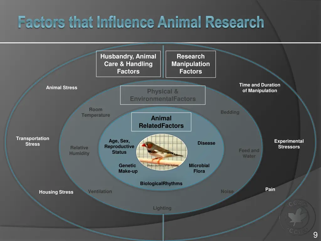 factors that influence animal research