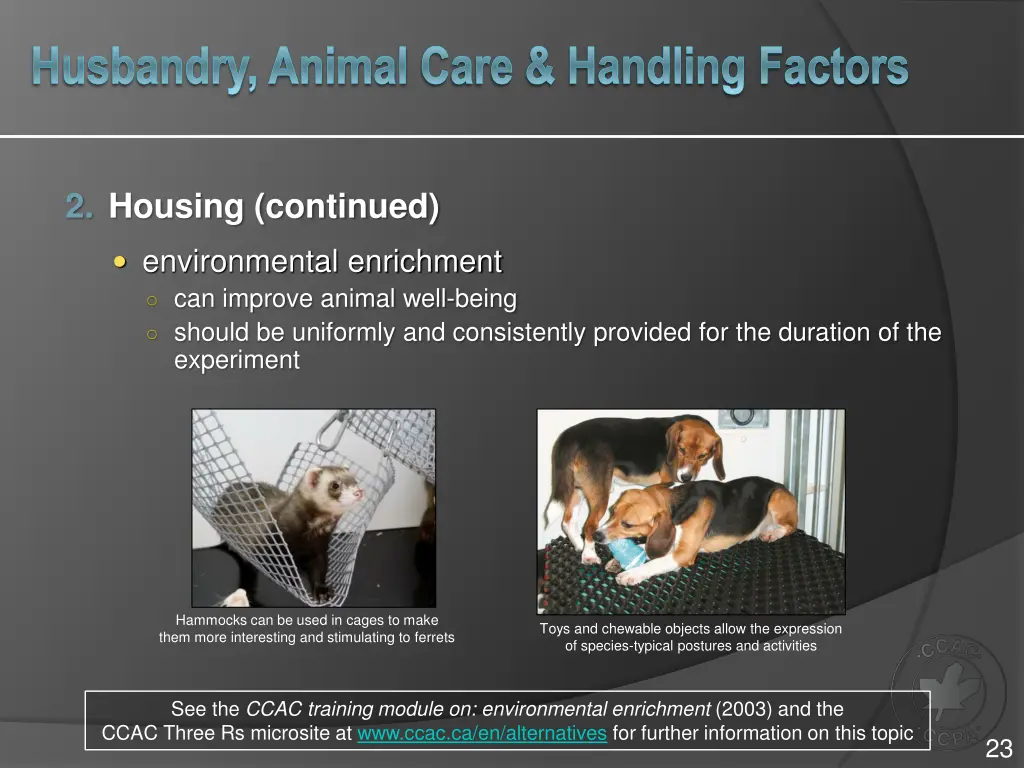 husbandry animal care handling factors 2