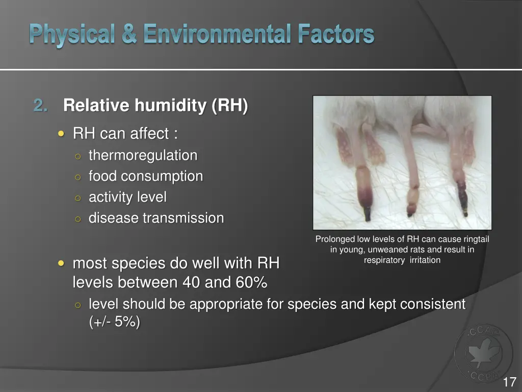 physical environmental factors 2