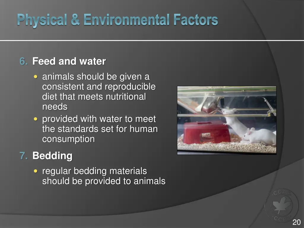 physical environmental factors 5