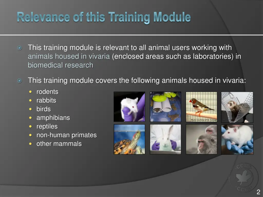 relevance of this training module