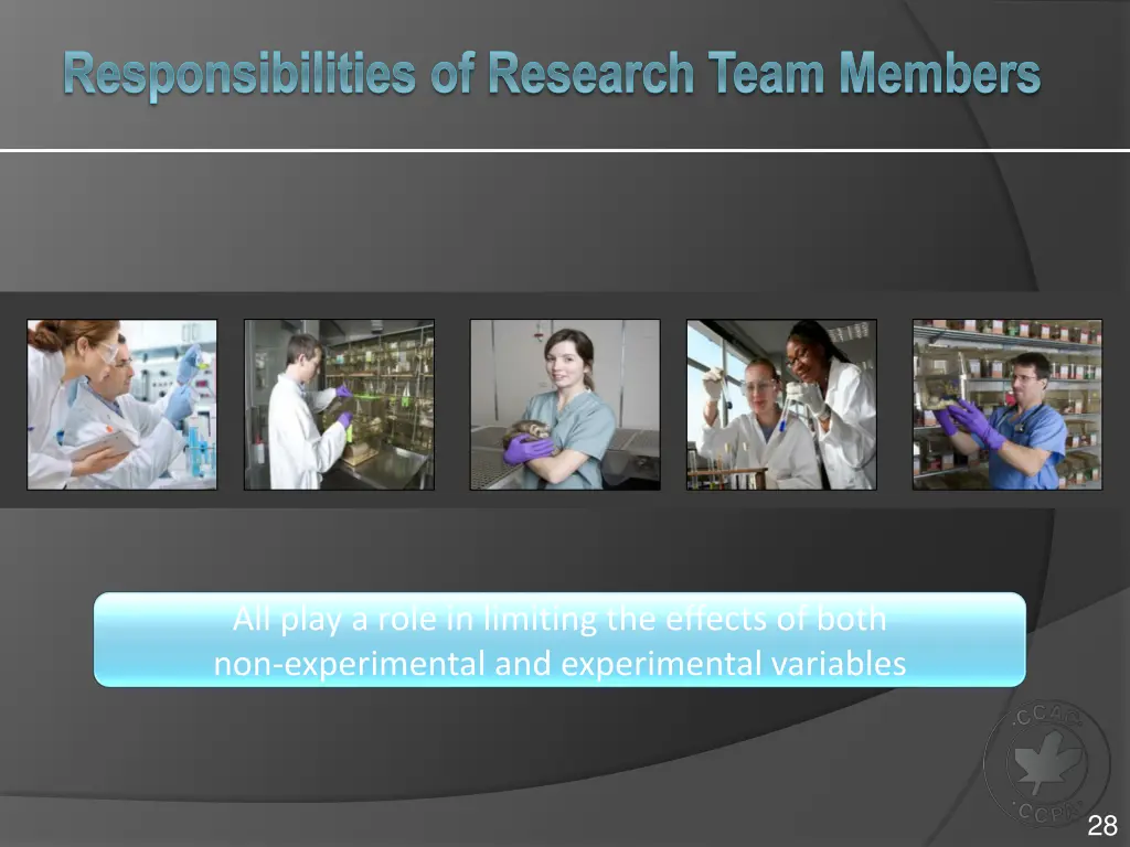 responsibilities of research team members