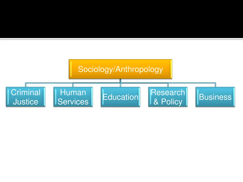 sociology anthropology