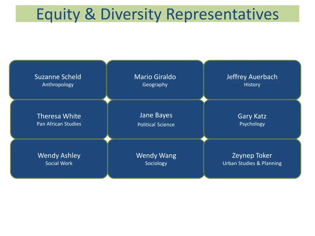 equity diversity representatives