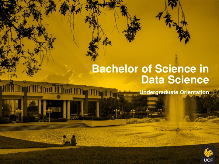 bachelor of science in data science