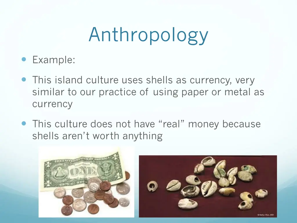 anthropology 4