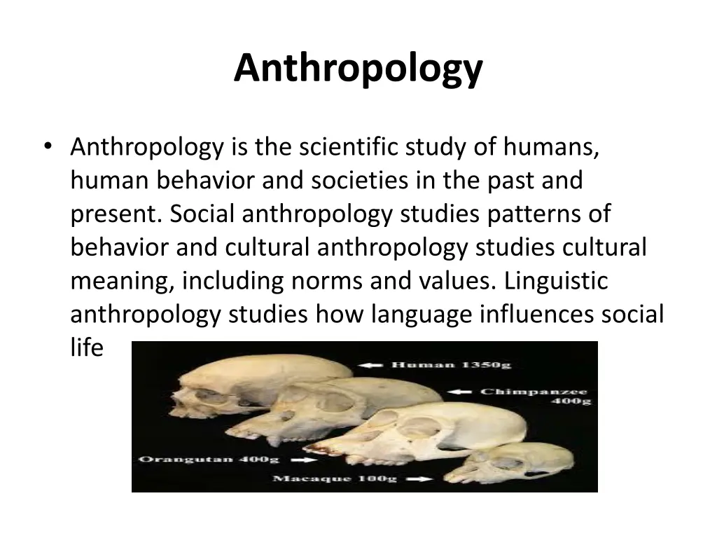 anthropology