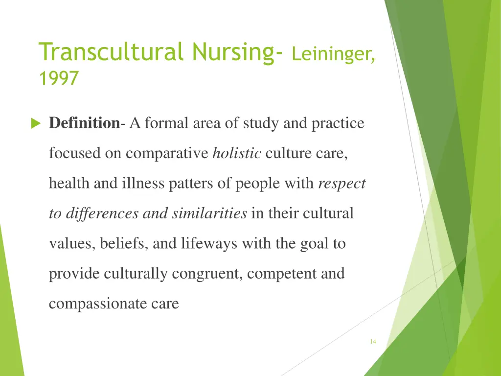 transcultural nursing leininger 1997