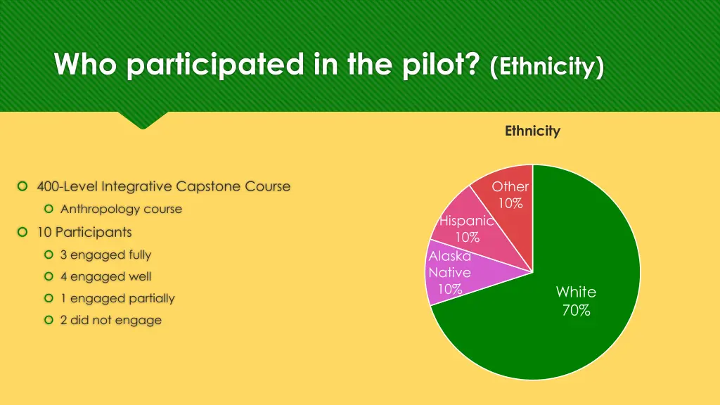 who participated in the pilot ethnicity