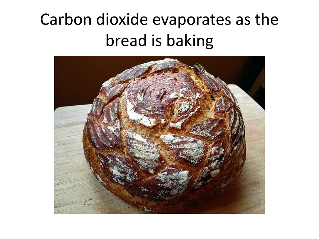 carbon dioxide evaporates as the bread is baking