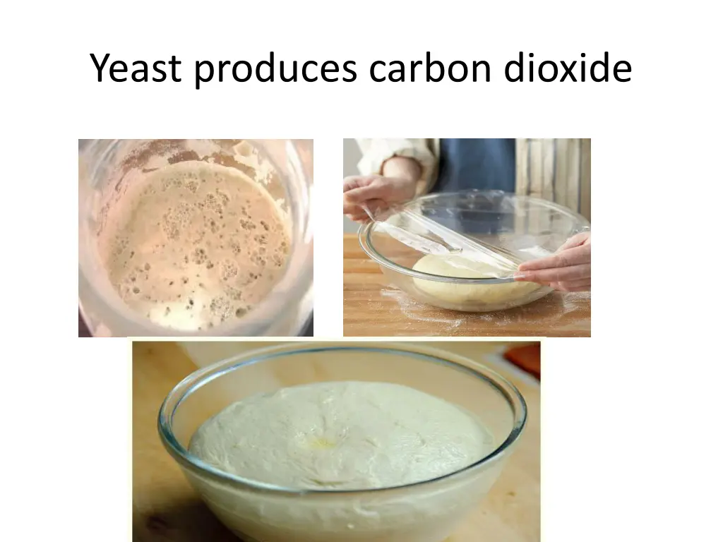 yeast produces carbon dioxide