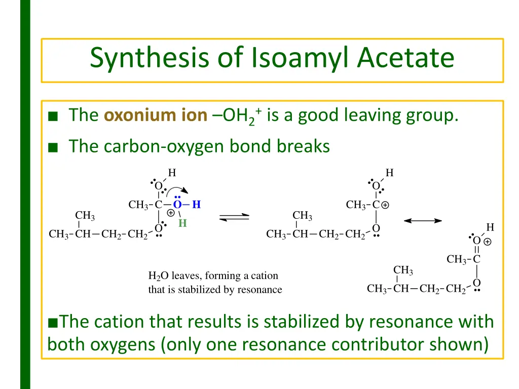 synthesis of isoamyl acetate 4