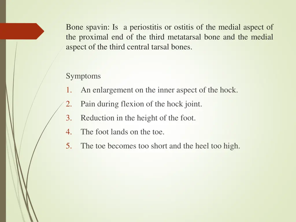 bone spavin is a periostitis or ostitis