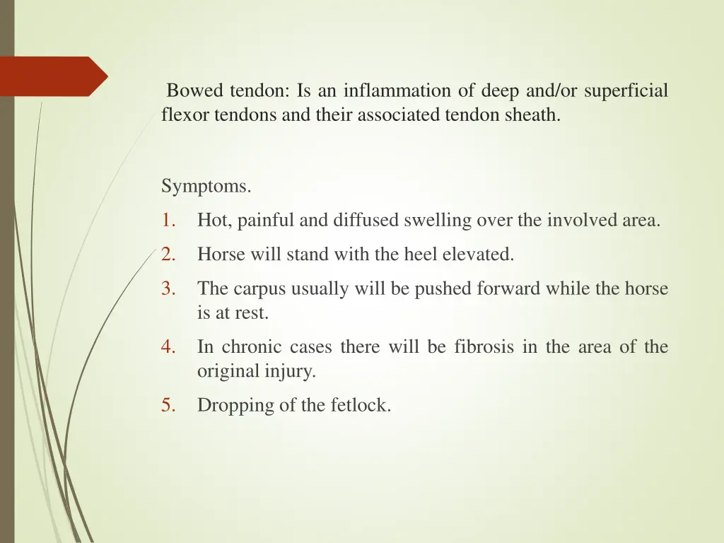 bowed tendon is an inflammation of deep