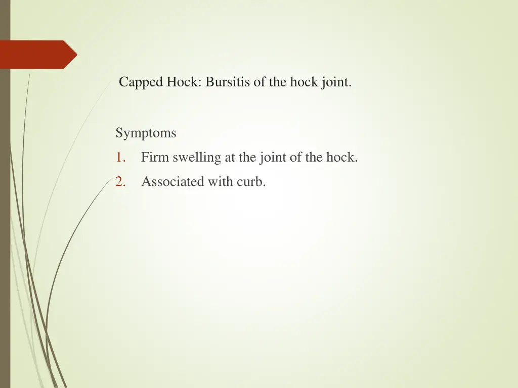 capped hock bursitis of the hock joint