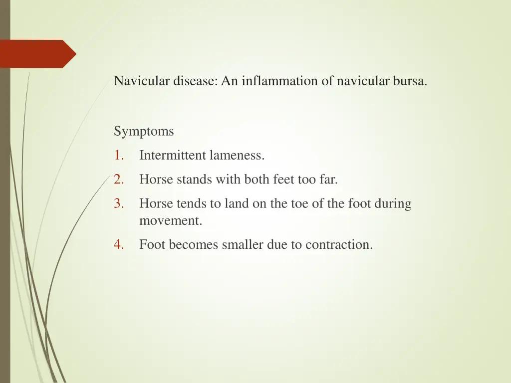 navicular disease an inflammation of navicular