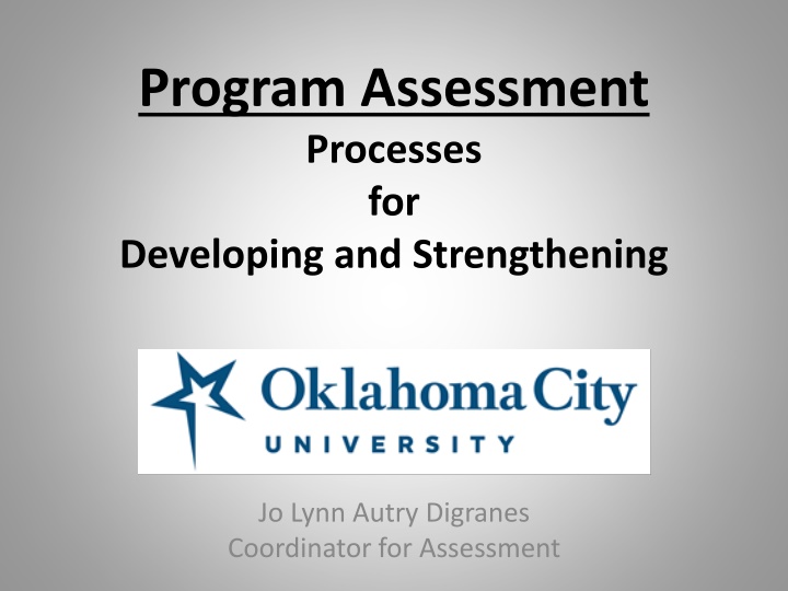 program assessment processes for developing