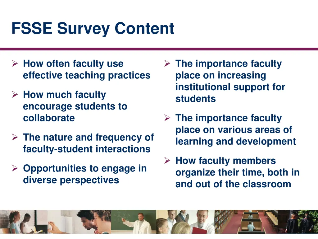 fsse survey content