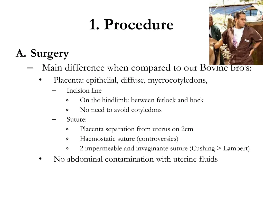 1 procedure 1