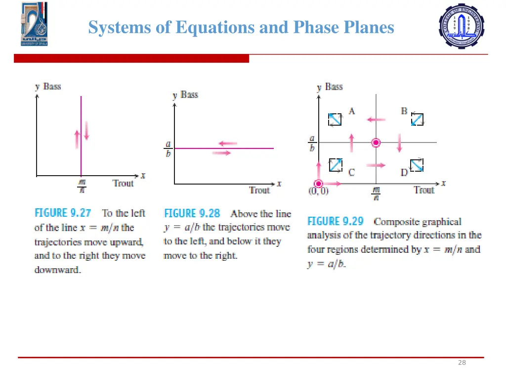 systems of equations and phase planes 6