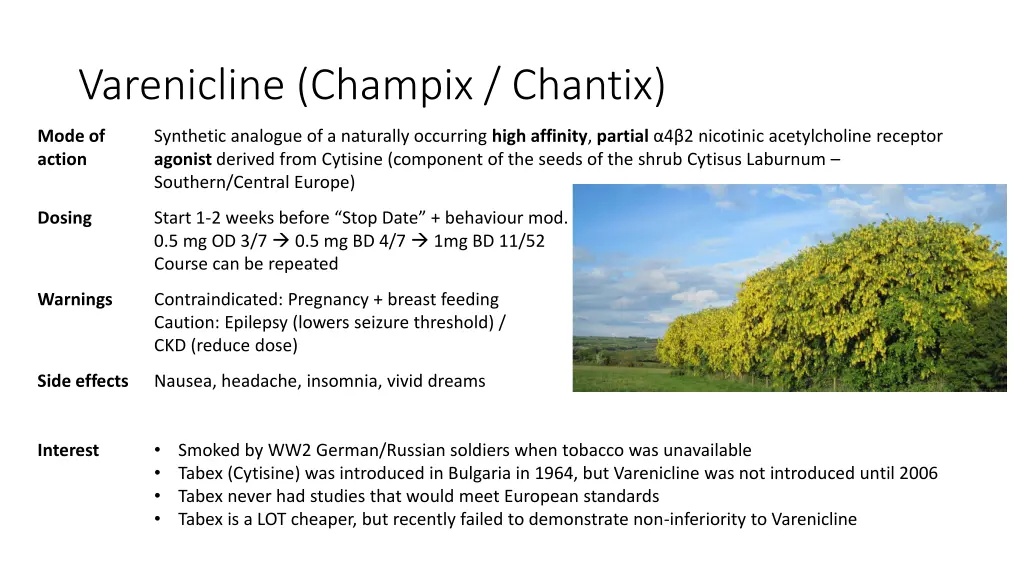 varenicline champix chantix