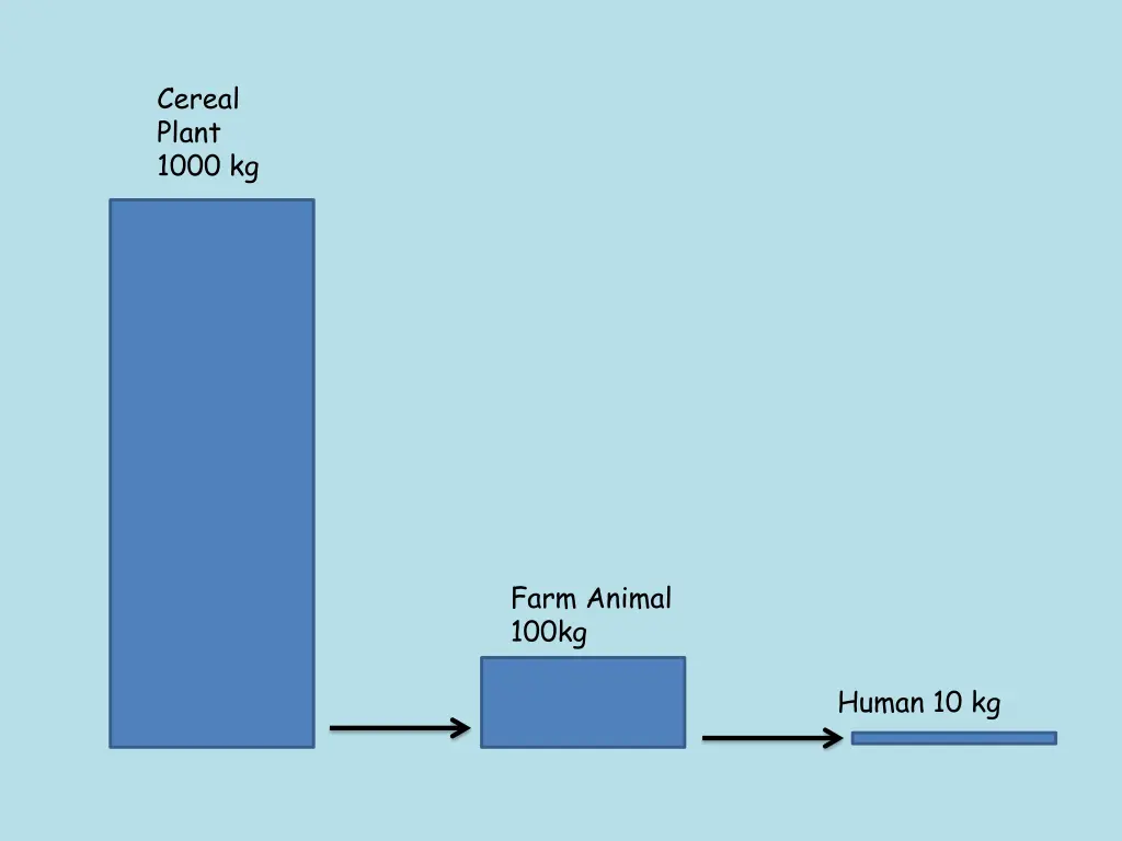 cereal plant 1000 kg